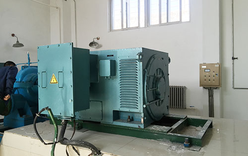 龙沙某水电站工程主水泵使用我公司高压电机