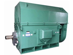 龙沙YKK系列高压电机